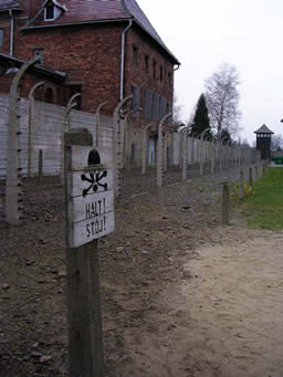 Rejas en Auschwitz I