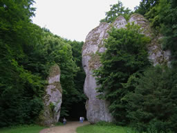 Sendero por el bosque en el Parque Ojców