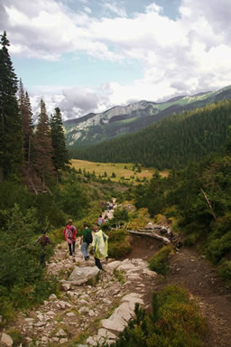 Ruta por el bosque en los Tatras, cerca de Zakopane