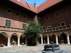 Universidad Cracovia